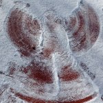 phoca_thumb_m_andlci 1 Fotogalerie